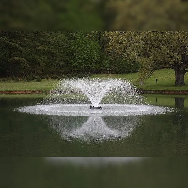 EasyPro 1 hp Aerating Fountain 115v 150' Cord