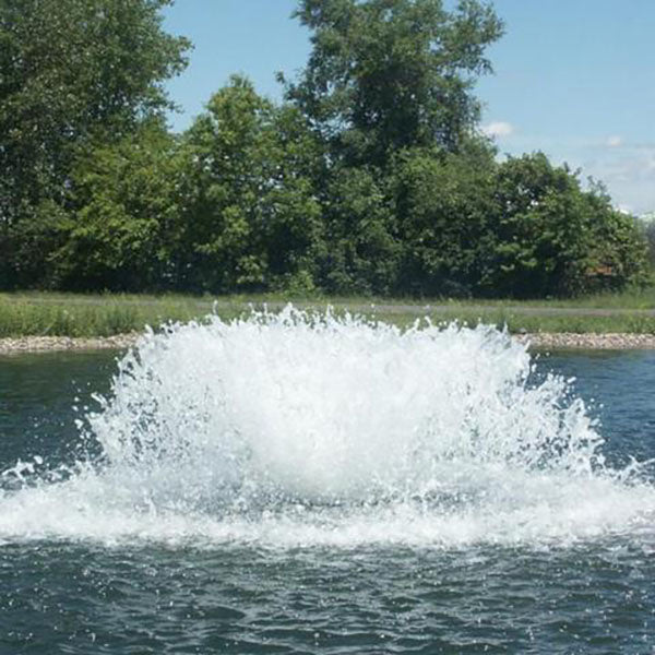 EasyPro 1 hp Surface Aerating Fountain 115v 50' Cord