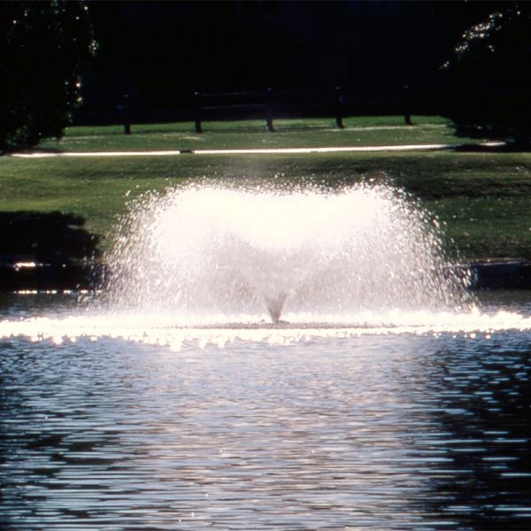 Outdoor Water Solutions Font`N-Aire Platinum 2HP Carnival Nozzle 3 Phase