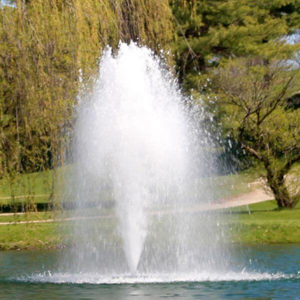 ProLake 3/4 J Series Aerating Fountain 120V No Float 5 Nozzles