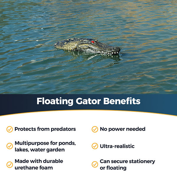 Outdoor Water Solutions Floating Gator JR
