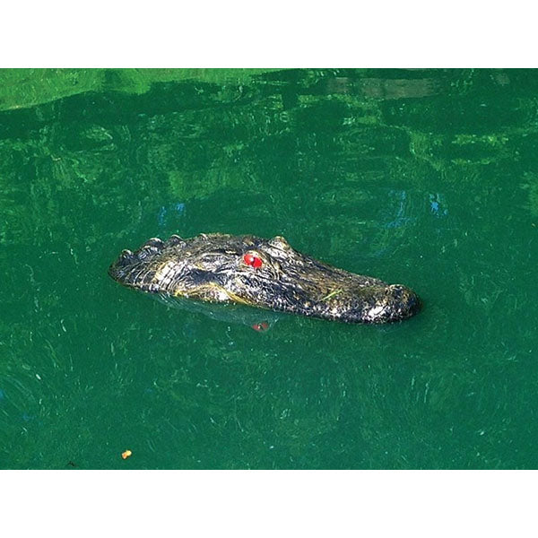 Outdoor Water Solutions Floating Gator JR