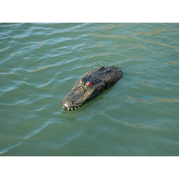 Outdoor Water Solutions Floating Gator
