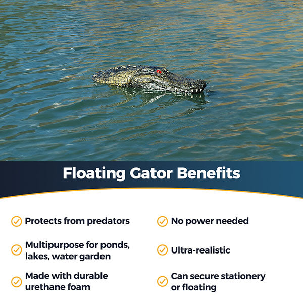 Outdoor Water Solutions Floating Gator