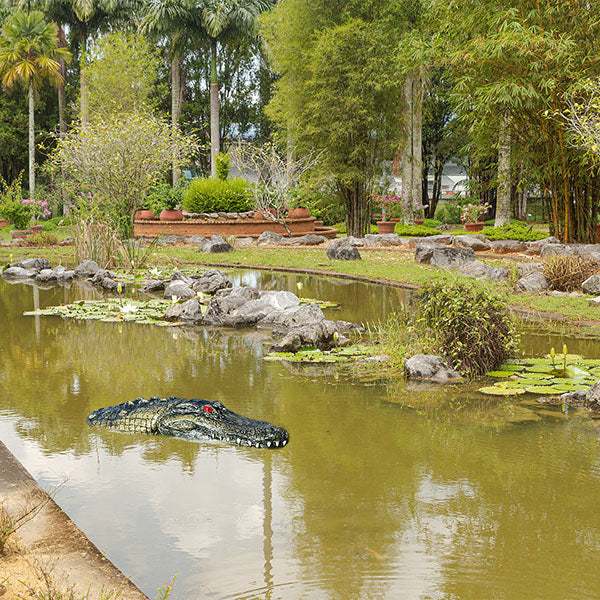 Outdoor Water Solutions Floating Gator