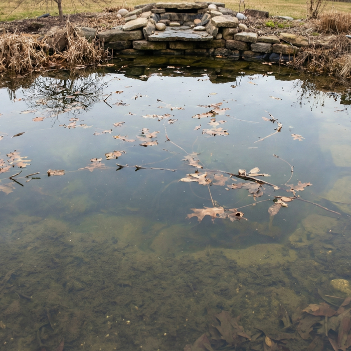 Spring Pond Maintenance Guide: 4 Essential Steps to Wake Up Your Water Feature