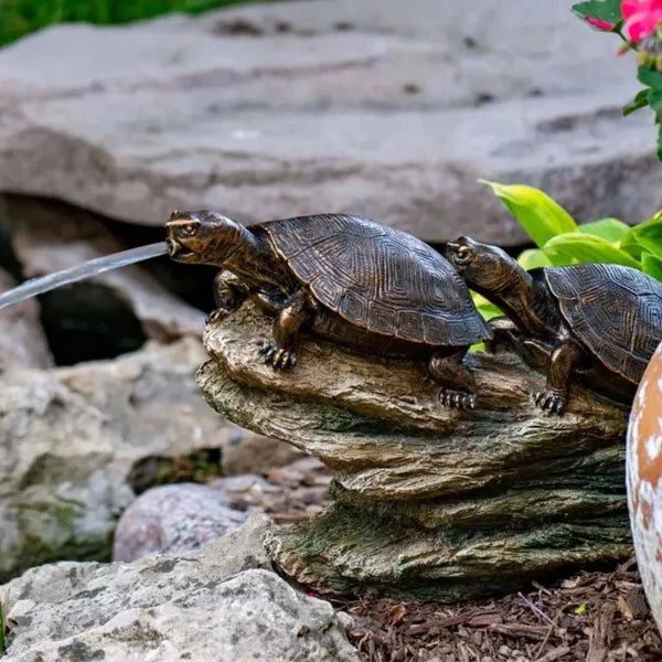 Aquascape Double Turtle On Log Spitter