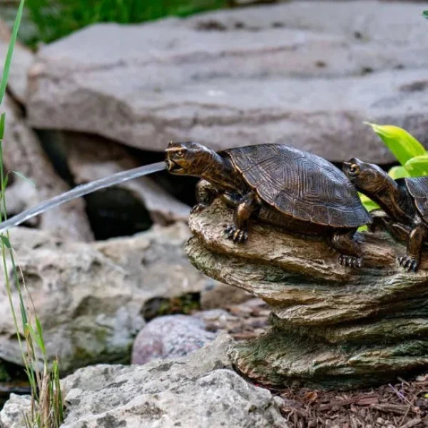 Aquascape Double Turtle On Log Spitter