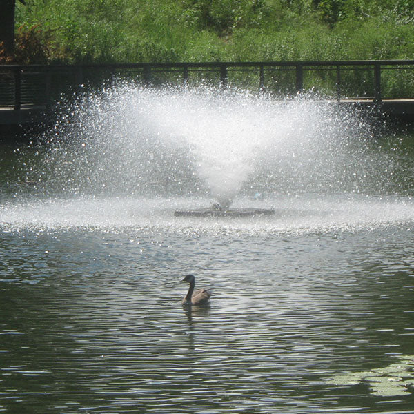 Air-O-Lator 1 Hp Pond Fountain