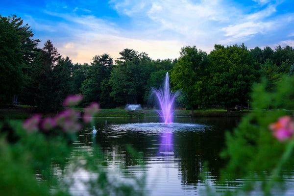 Scott Aerator Amherst Fountain For Small Residential Ponds