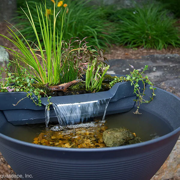 Mini Pond