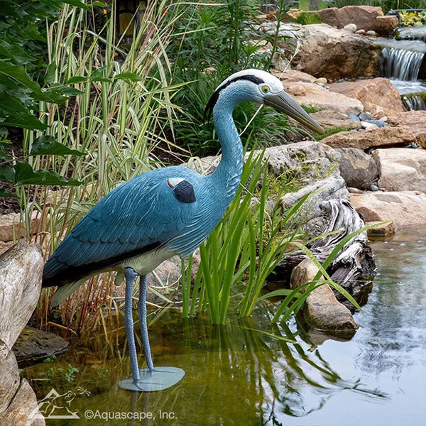 Aquascape Blue Heron Decoy