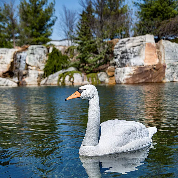 Aquascape Floating Swan Decoy