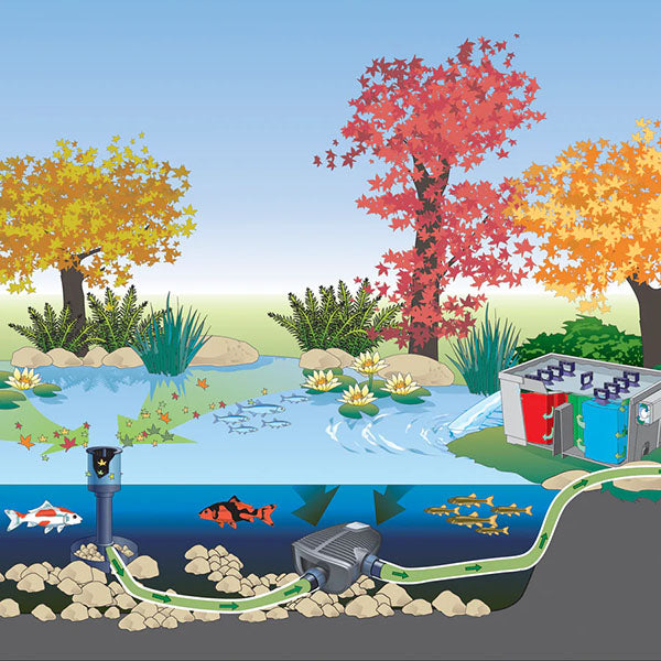 Atlantic Oase Aquaskim in-pond Surface Skimmer