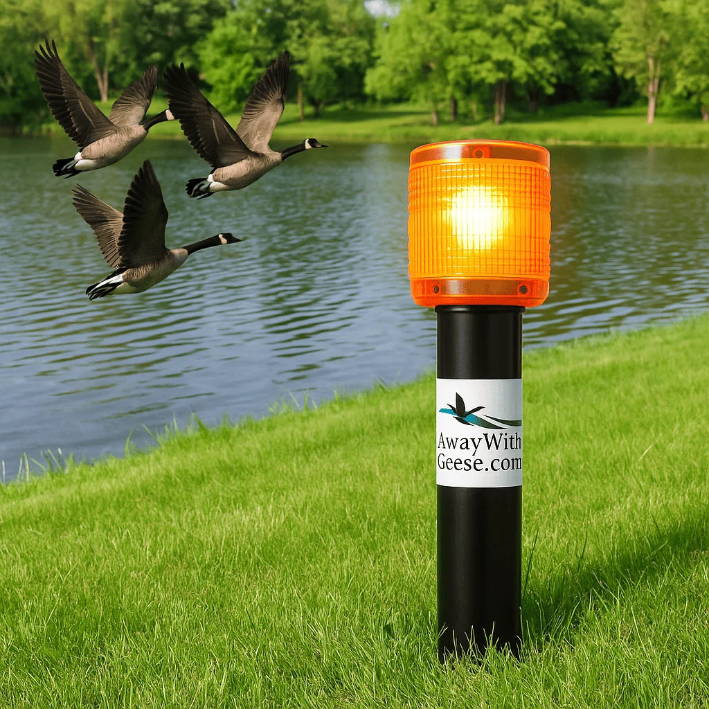 Outdoor Water Solutions Solar Powered Goose Control Away With Geese Deterrent for Land or Water