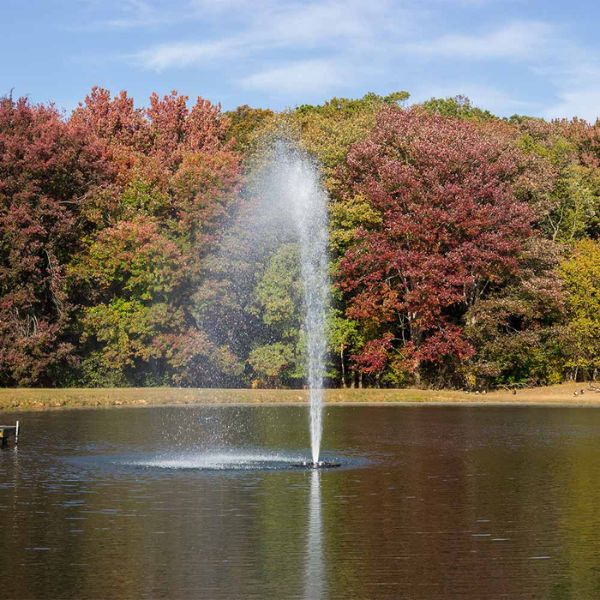 .5 HP 230V Fountain with Float