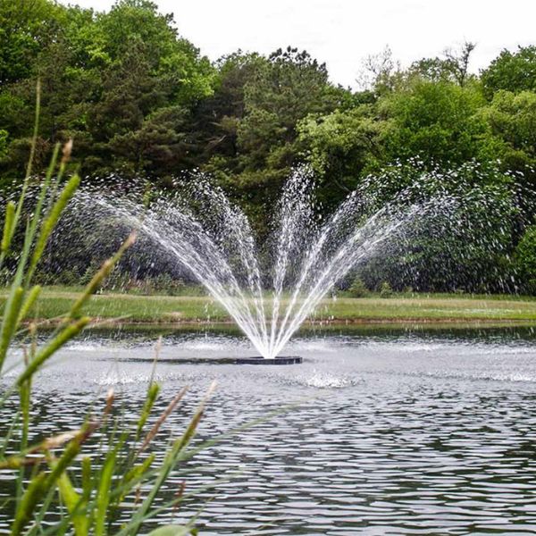 1.5 HP 230V Olympus Fountain with Float