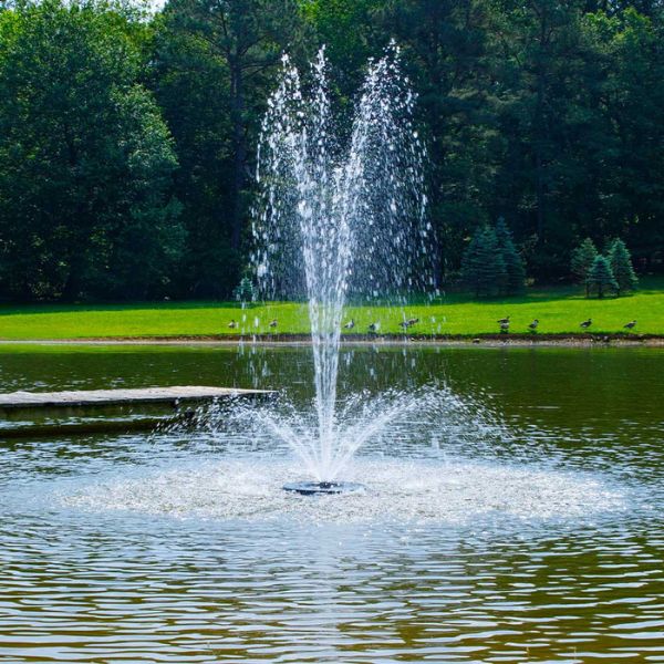 1 HP 115V Olympus Fountain