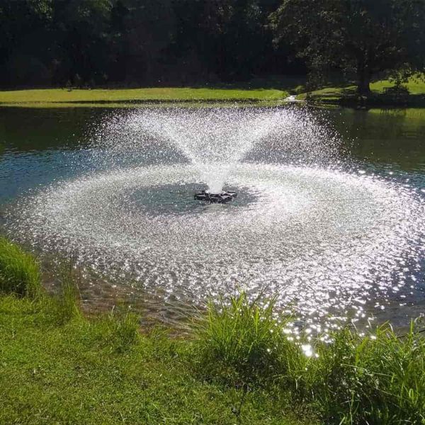 230V Aerating Fountain