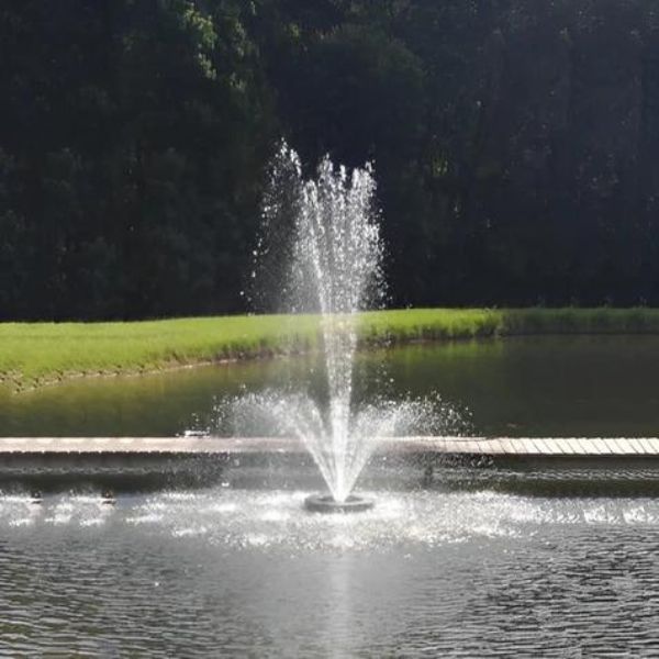 Olympus Fountain Aurora .33HP Nozzle