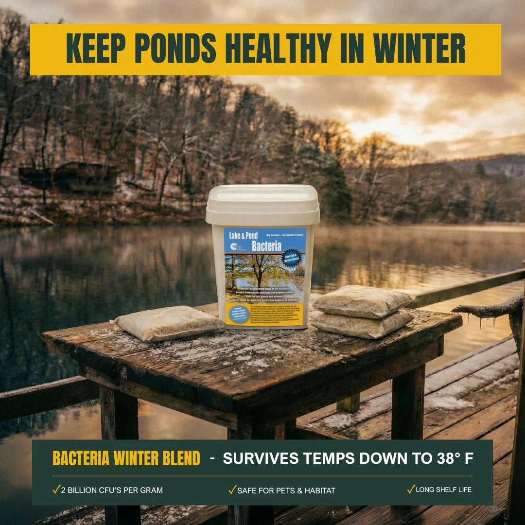 Outdoor Water Solutions Winter Blend Packs Beneficial Bacteria for Ponds Muck Remover