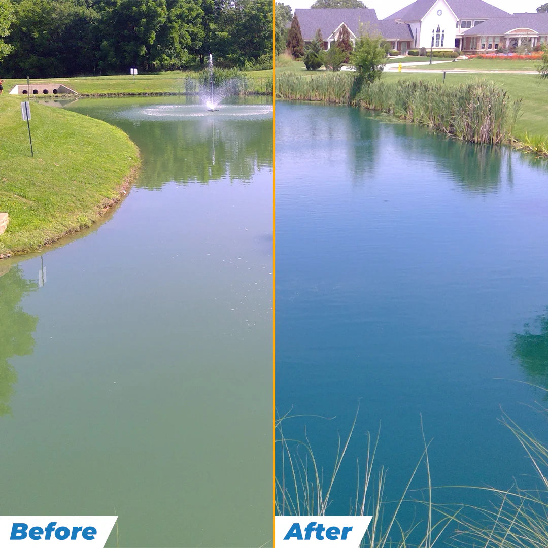 Outdoor Water Solutions Pond Dye for Lakes / Ponds  Fish Safe Slows Weeds