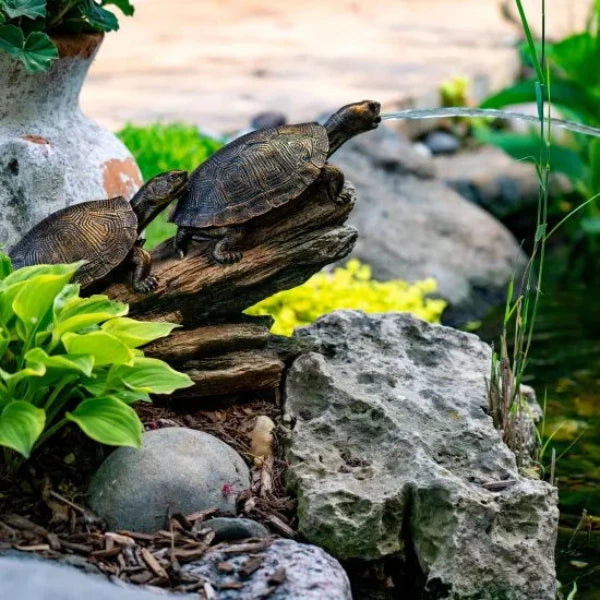 Aquascape Double Turtle On Log Spitter