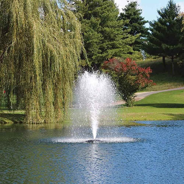 EasyPro 1 hp Fountain 5 patterns Complete 230v 150' Cord