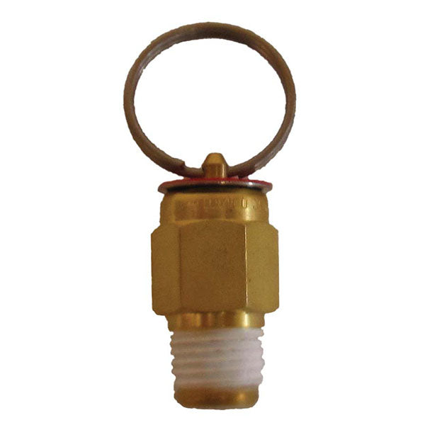 EasyPro 25 PSI Pressure Release Valve