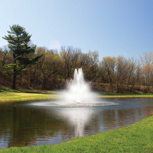 EasyPro 2 HP Fountain 5 Patterns Complete 230v 200' Cord