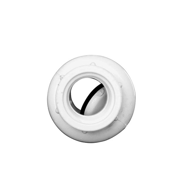 EasyPro 3/4" x 3/4" fpt Plastic Check Valve