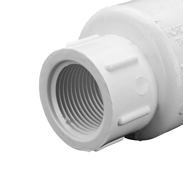 EasyPro 3/4" x 3/4" fpt Plastic Check Valve