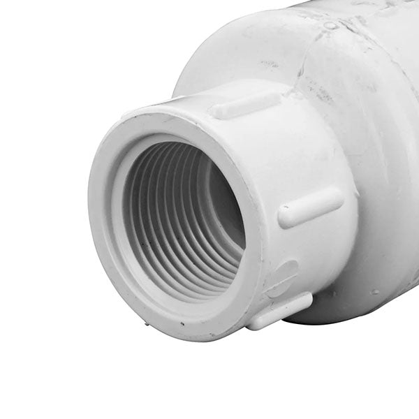 EasyPro 3/4" x 3/4" fpt Plastic Check Valve
