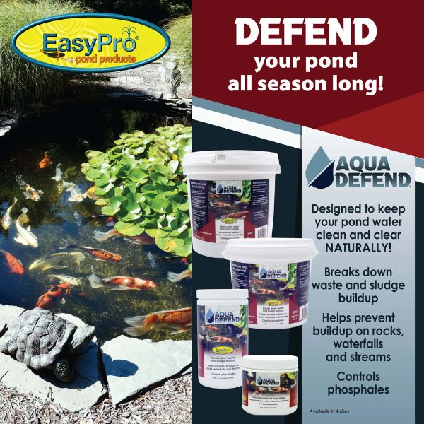 EasyPro Aqua Defend™ All-Natural Pond Water Treatment 5 lbs Pail