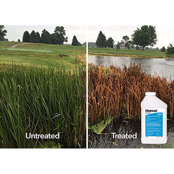 EasyPro Clear Cast Aquatic Herbicide Gallon