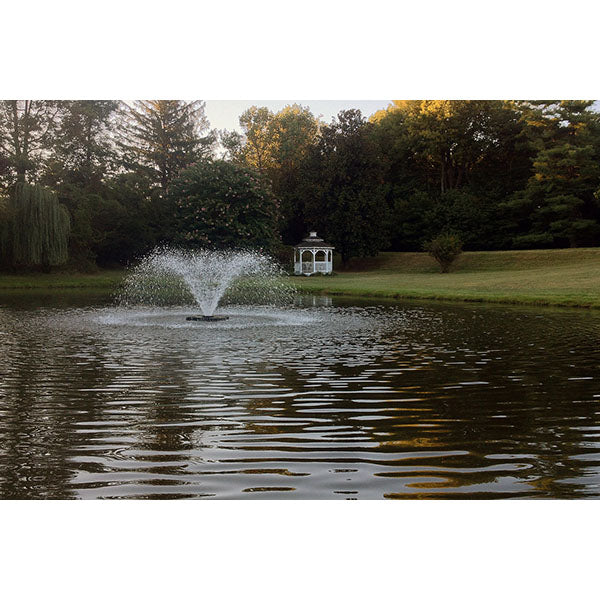 EasyPro Display Aerator Fountain 1 hp 230 Volt