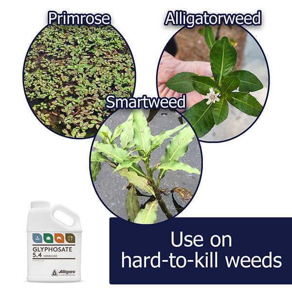 EasyPro Glyphosate 5.4 Aquatic herbicide