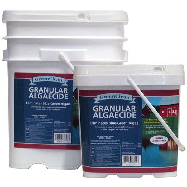 EasyPro Greenclean Granular Algaecide – 20 lb. pail