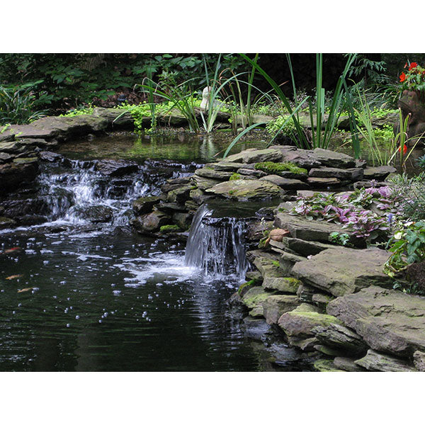 EasyPro EasyBog Pond Filtration Kit Up to 5000 Gallons