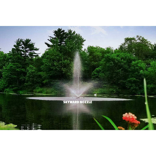 EasyPro Triad Fountain 1 HP 115V 100' Cord