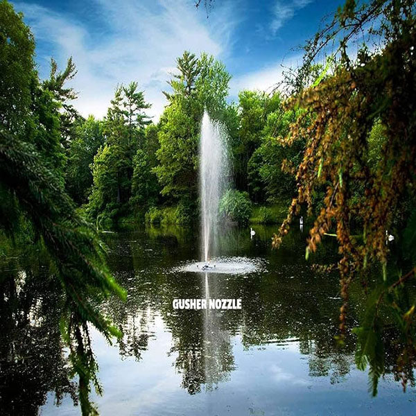 EasyPro Triad Fountain 1 hp 230V 100' cord