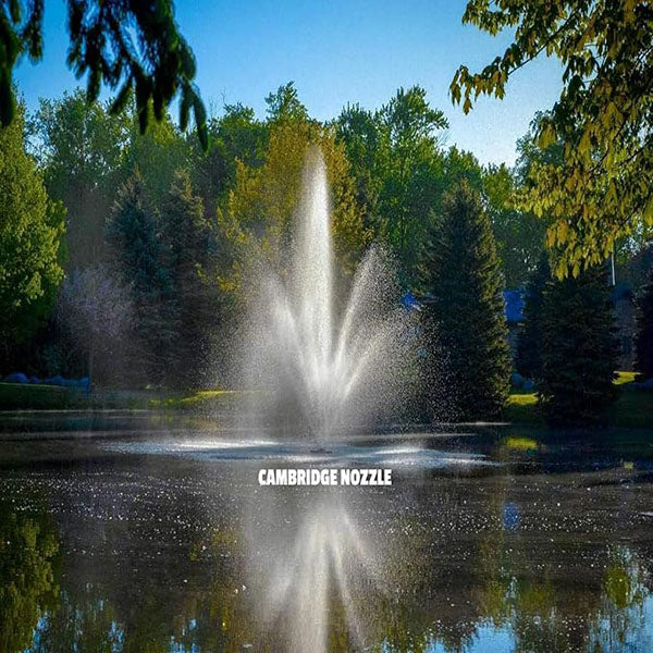 EasyPro Triad Fountain 1 hp 230V 100' cord