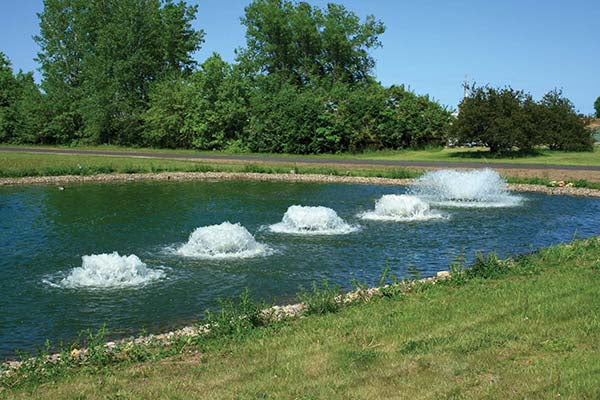 EasyPro Kasco 3/4 HP Surface Aerator 115v