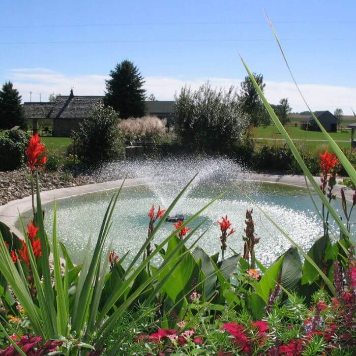 ProLake 1/2 HP VX Aerating Fountain 120V Single Phase