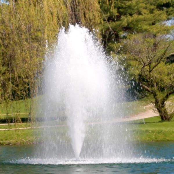 Marine 3/4 J Series Aerating Fountain 120V