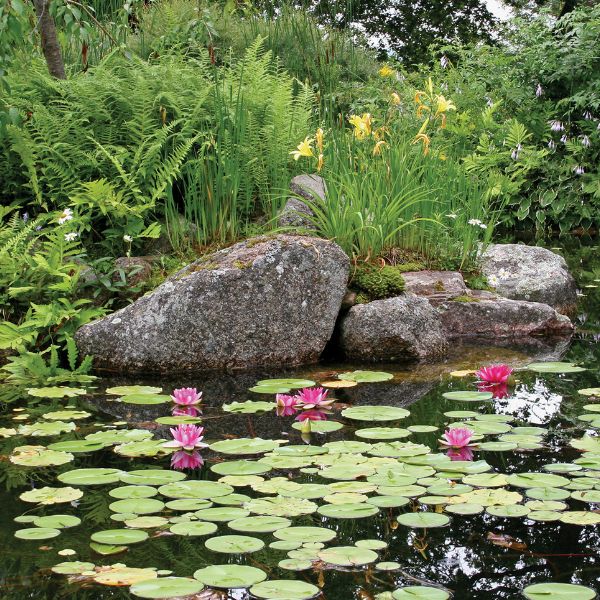 Large Water Garden Kit - 11' X 16'