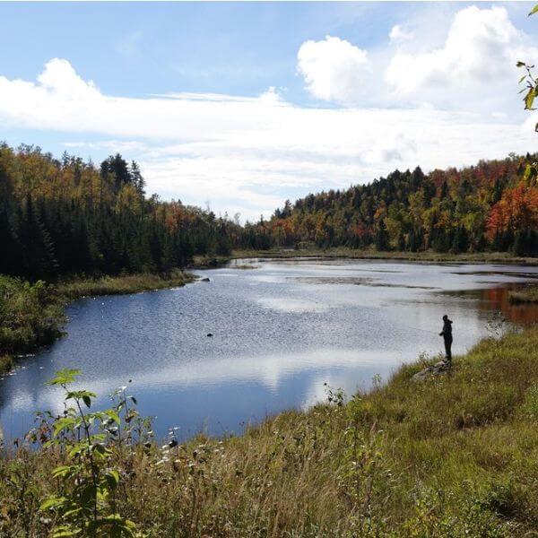 ProLake Pond & Lake Clarifier