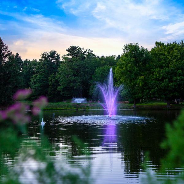 Amherst Decorative Water Fountain 3/4 HP