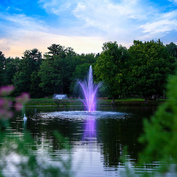 Amherst Fountain 1½ hp 100 ft