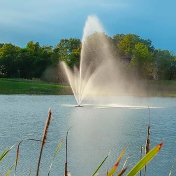 Scott Aerator Atriarch Fountain 3 Hp 230v 150 Ft 10-3